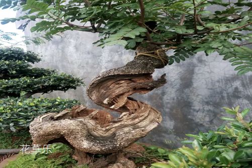 发髻针——，穿越时空的美丽信物，编织东方女性的独特魅力