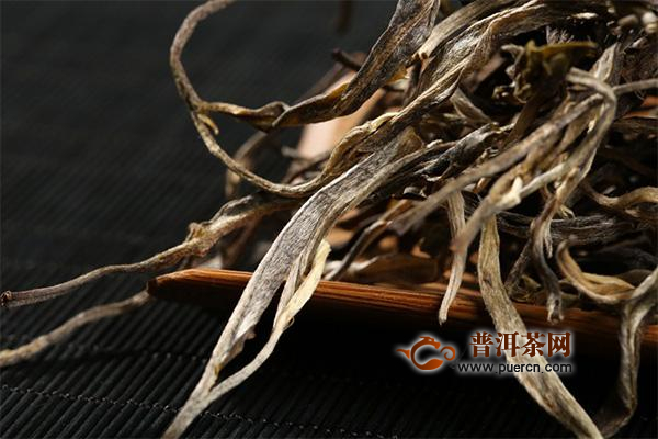 入门买镜头精品视频一区二区三区四区五区，开启你的摄影新旅程