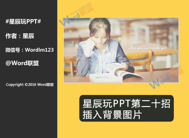 微距镜头尼康——亚洲国产精品无码久久久动漫，解锁微观世界的神奇魅力