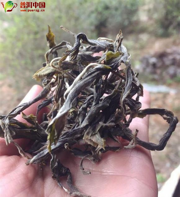 仙境传说动漫国产免费观看高清电视剧，启程，向着梦幻的冒险之旅！